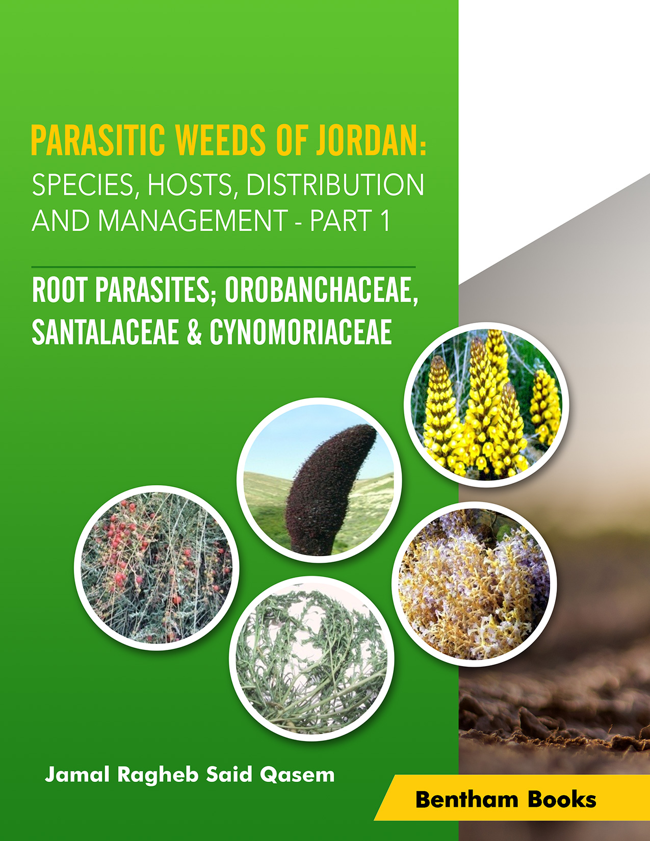 Parasitic Weeds of Jordan: Species, Hosts, Distribution and Management - Part 1: Root Parasites; Orobanchaceae, Santalaceae & Cynomoryaceae Parasitic Weeds of Jordan: Species, Hosts, Distribution and Management - Part 1: Root Parasites; Orobanchaceae, Santalaceae & Cynomoryaceae