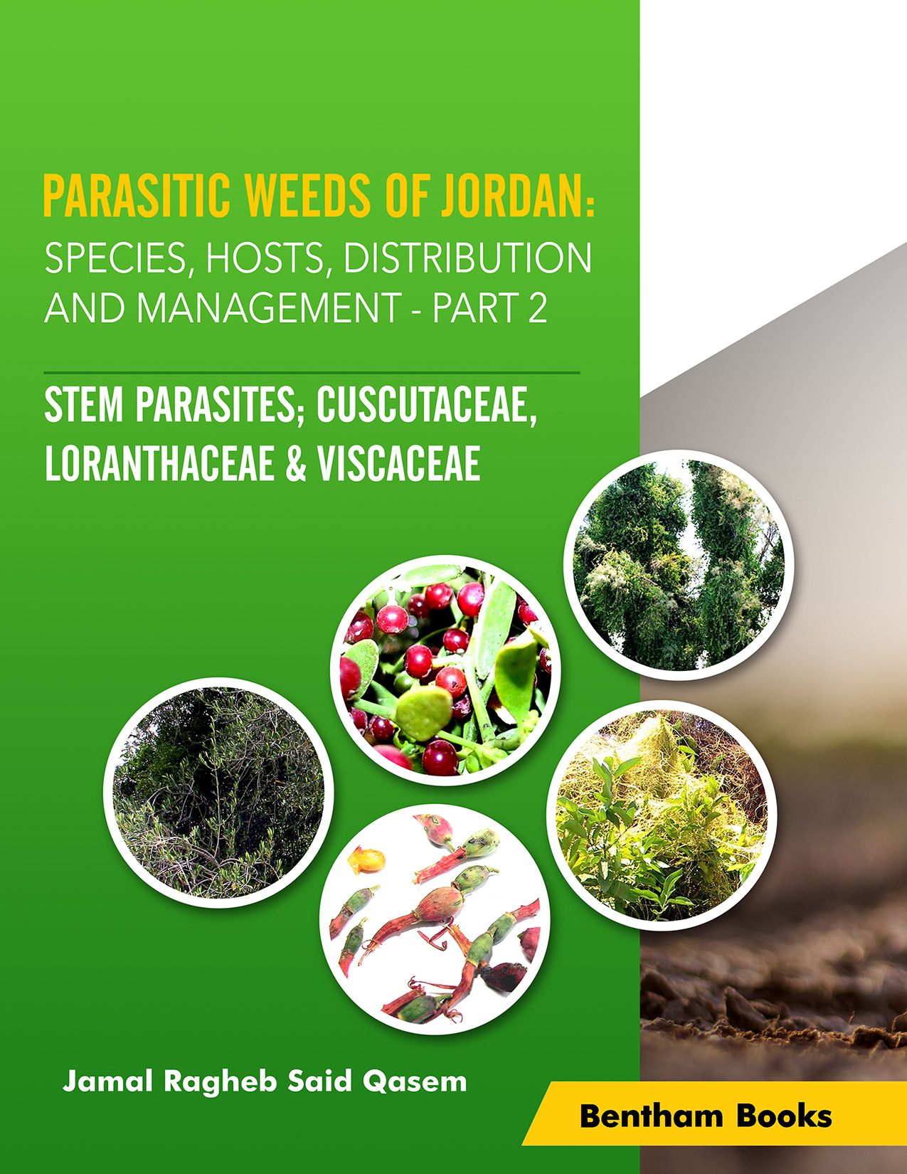 Parasitic Weeds of Jordan: Species, Hosts, Distribution and Management - Part 2 - Stem Parasites; Cuscutaceae, Loranthaceae & Viscaceae Parasitic Weeds of Jordan: Species, Hosts, Distribution and Management - Part 2 - Stem Parasites; Cuscutaceae, Loranthaceae & Viscaceae