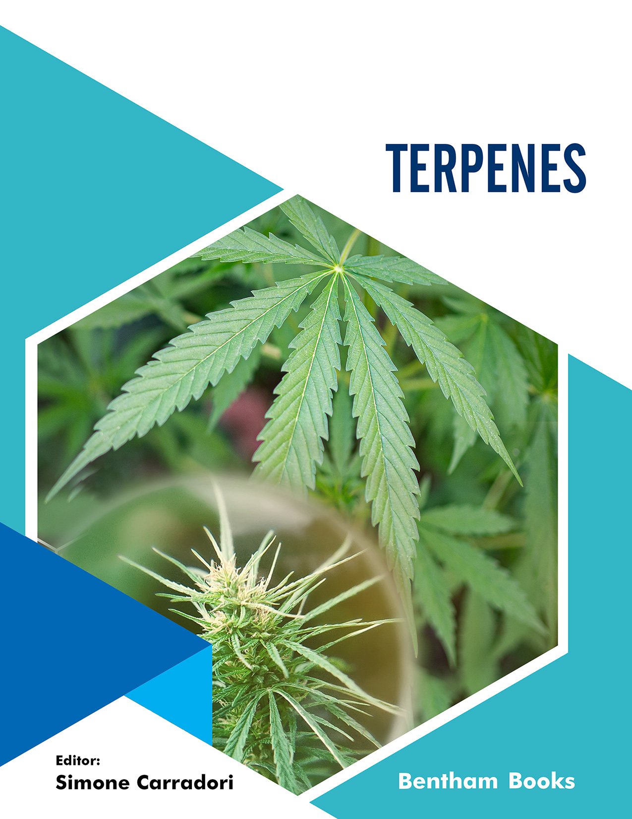 Terpenes Terpenes