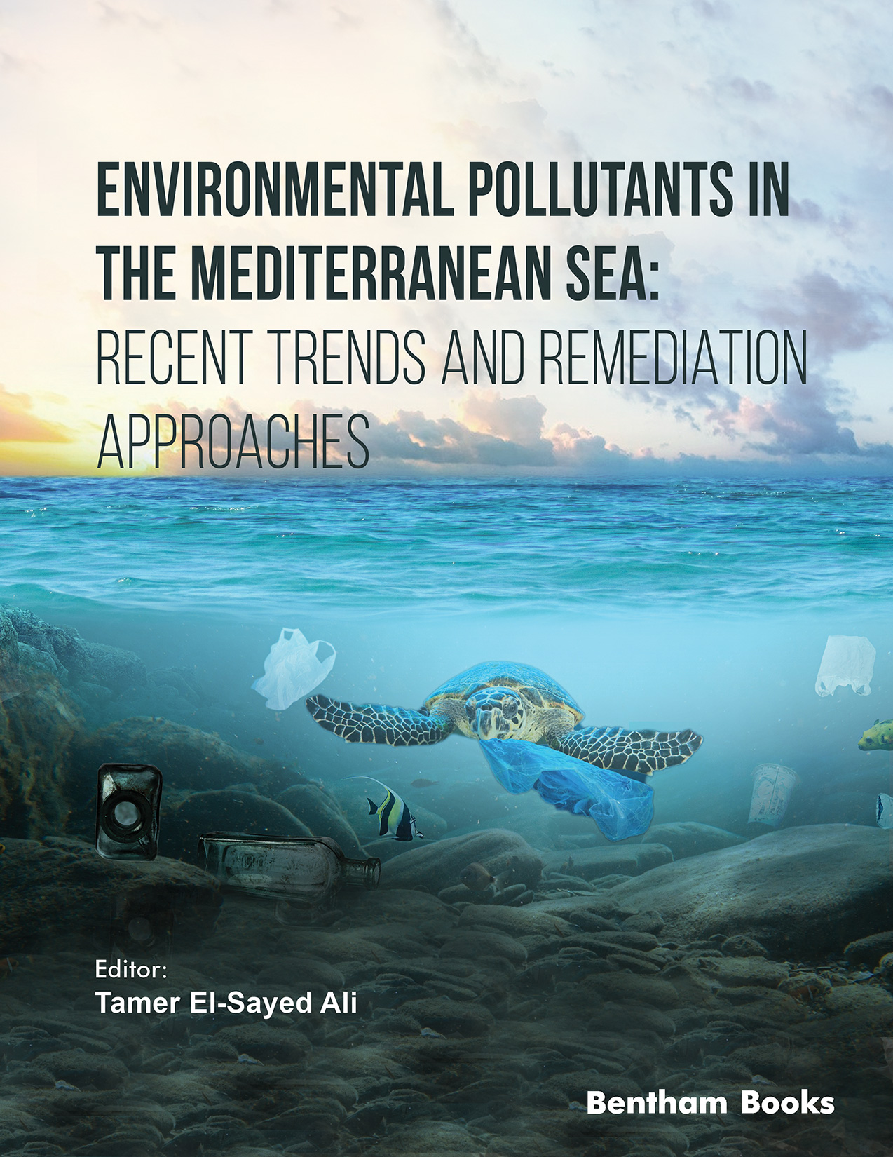 Environmental Pollutants in the Mediterranean Sea: Recent Trends and Remediation Approaches Environmental Pollutants in the Mediterranean Sea: Recent Trends and Remediation Approaches