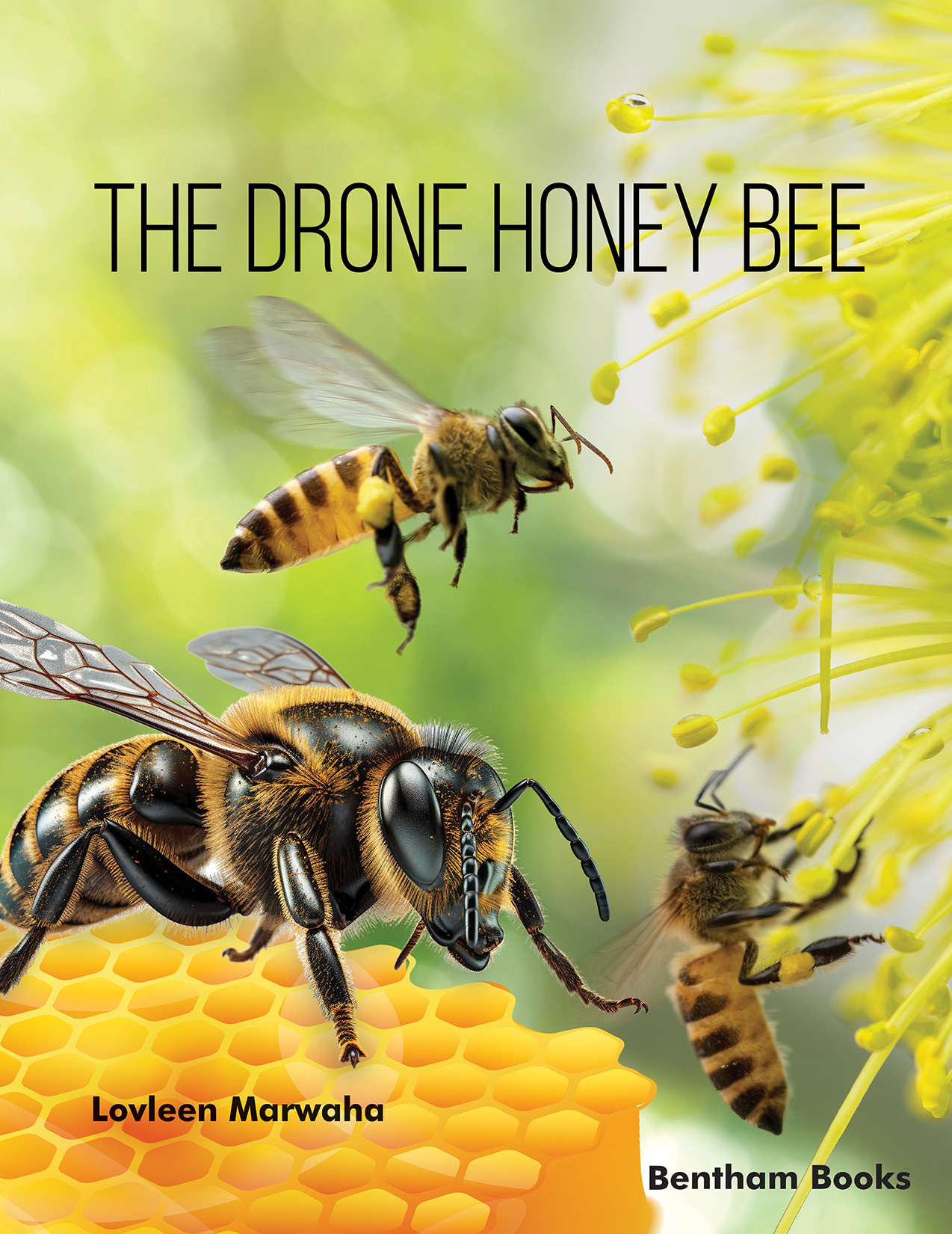 The Drone Honey Bee The Drone Honey Bee