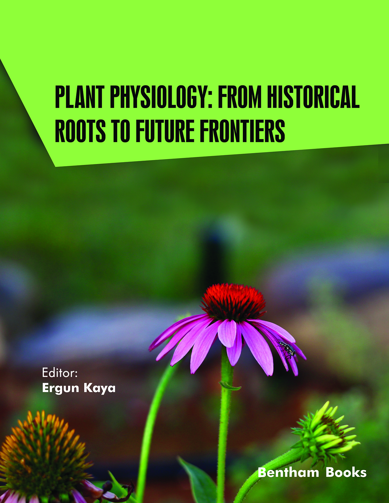 Plant Physiology: From Historical Roots to Future Frontiers
