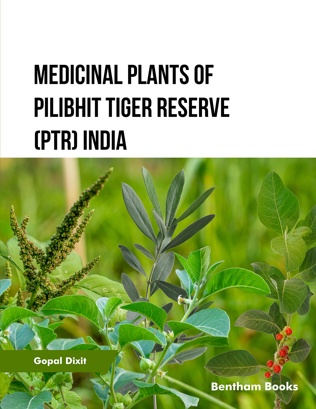 Medicinal Plants of Pilibhit Tiger Reserve (PTR) India Medicinal Plants of Pilibhit Tiger Reserve (PTR) India