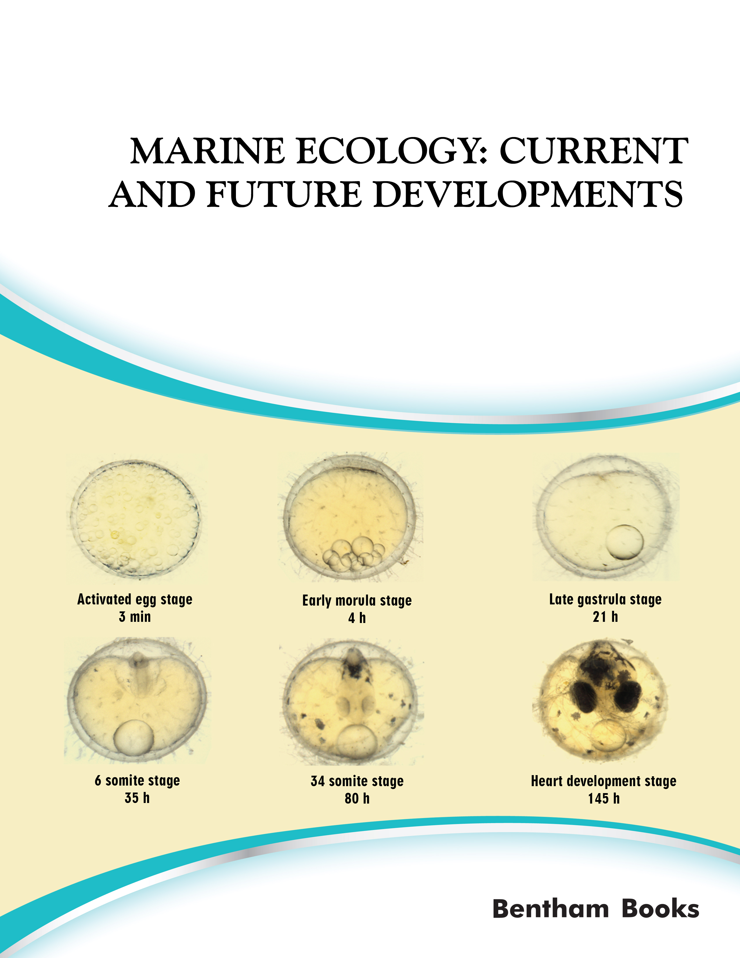 Marine Ecology: Current and Future Development