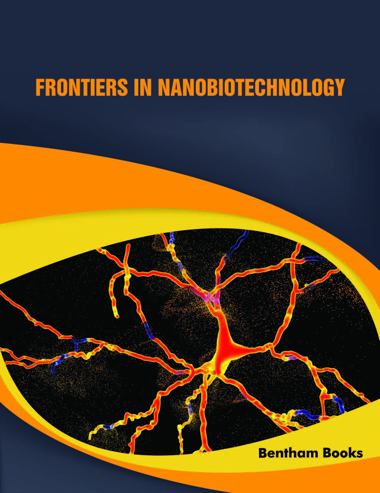 Frontiers in Nanobiotechnology